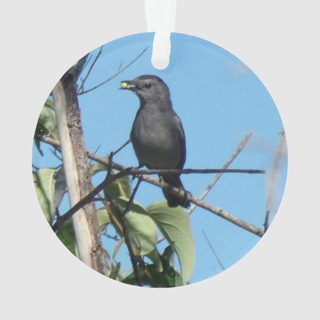 Mother Catbird Gathers Berries to her Feed Babies Ornament (Back)