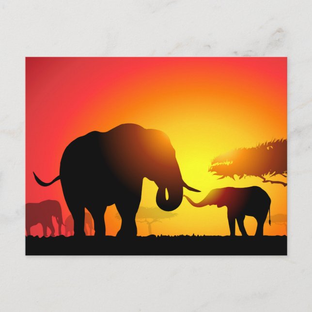 Mother & Child Elephants at Sunset Postcard (Front)