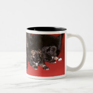 Mother dog with puppies Two-Tone coffee mug