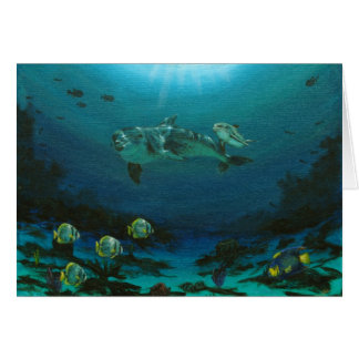 Mother dolphin and calf