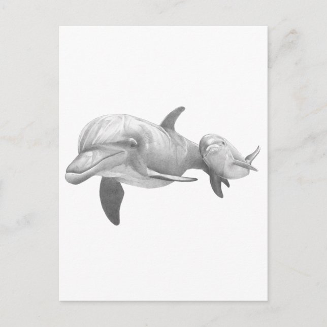 MOTHER DOLPHINS LOVE POSTCARD (Front)