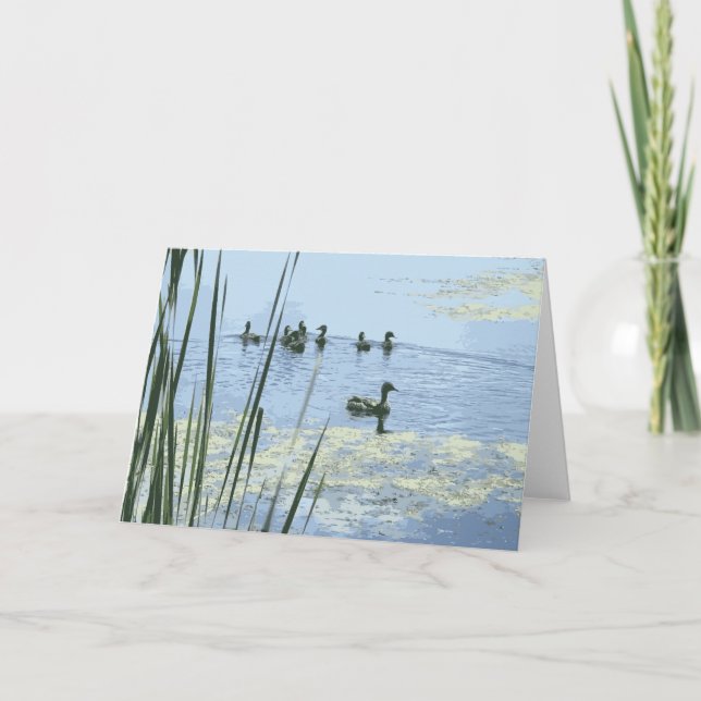 Mother Duck With Her Ducklings Swimming In A Pond Card (Front)