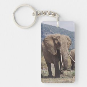 Mother elephant walking with elephant calf key ring