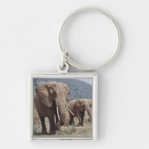 Mother elephant walking with elephant calf key ring