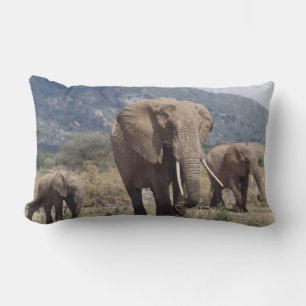 Mother elephant walking with elephant calf lumbar cushion