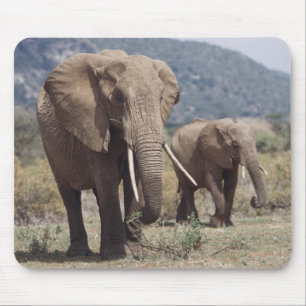 Mother elephant walking with elephant calf mouse pad