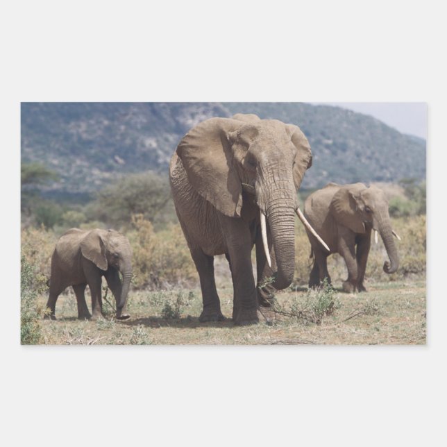 Mother elephant walking with elephant calf rectangular sticker (Front)