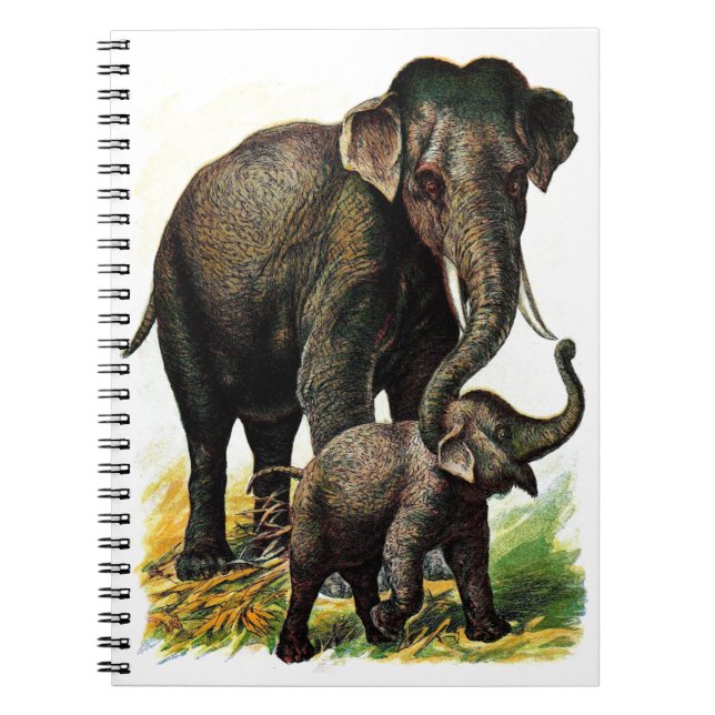Mother Elephant with Calf Notebook (Front)