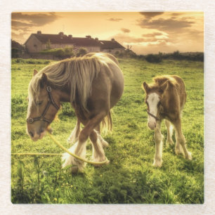 Mother & Foal Horse Glass Coaster