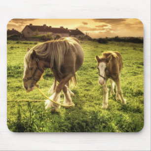 Mother & Foal Horse Mouse Pad