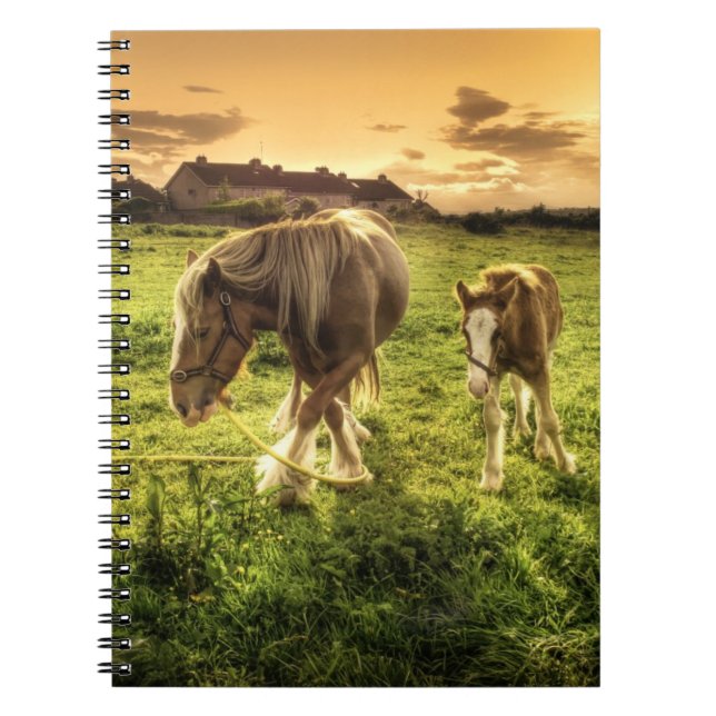 Mother & Foal Horse Notebook (Front)