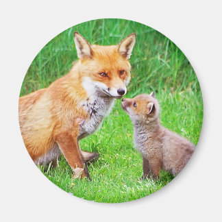 Mother fox and cub magnet