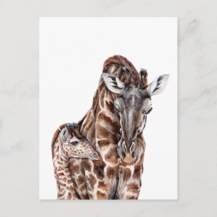 Mother Giraffe with Baby Giraffe Postcard