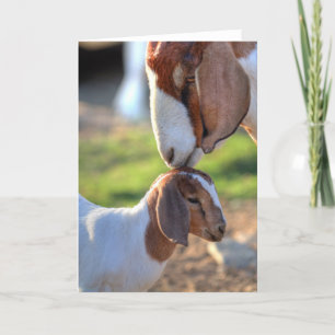 Mother Goat & Baby Card