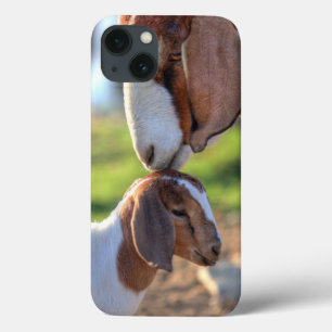 Mother Goat & Baby iPhone 13 Case