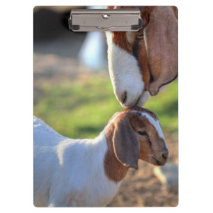 Mother Goat & Baby Clipboard