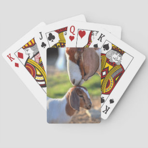 Mother Goat & Baby Playing Cards