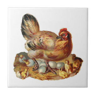 Mother Hen and Chicks Tile