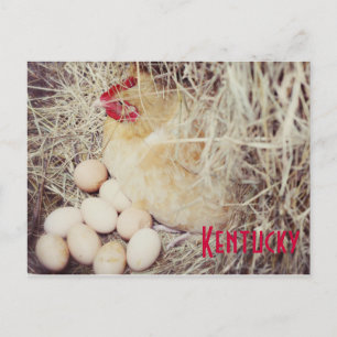 Mother Hen by JerseyFawn Postcard