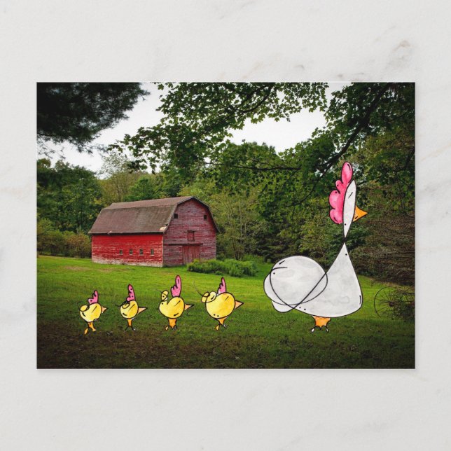Mother Hen Postcard (Front)