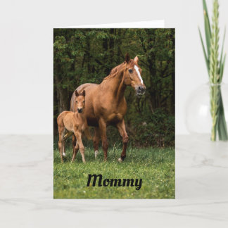 Mother Horse And Colt Card