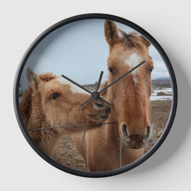 Mother Horse and Foal Clock (Front)