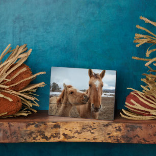 Mother Horse and Foal Plaque