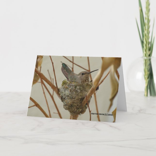 Mother Hummingbird Card (Front)