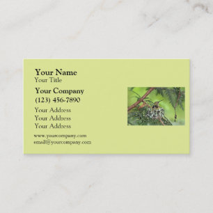 Mother Hummingbird on Nest Business Card