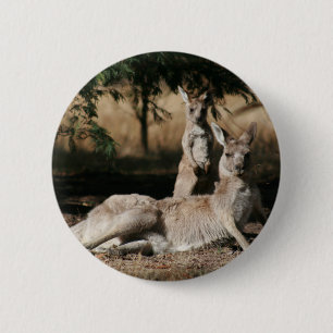 Mother Kangaroo and Baby Joey 6 Cm Round Badge