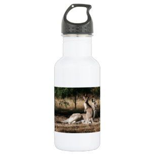 Mother Kangaroo and Joey Relaxing 532 Ml Water Bottle