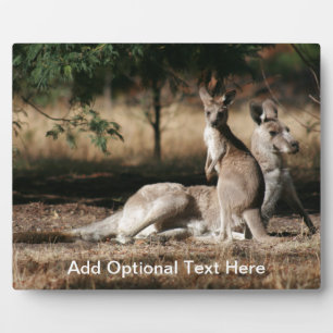 Mother Kangaroo and Joey Relaxing Plaque