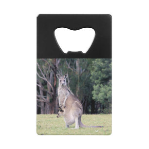 Mother Kangaroo with Baby Joey in Her Pouch