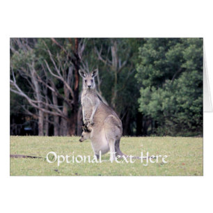 Mother Kangaroo with Baby Joey in Her Pouch