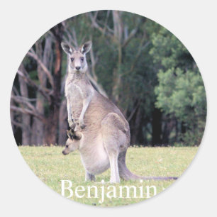 Mother Kangaroo with Baby Joey in Her Pouch Classic Round Sticker