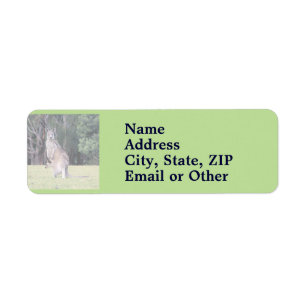 Mother Kangaroo with Baby Joey in Her Pouch Return Address Label