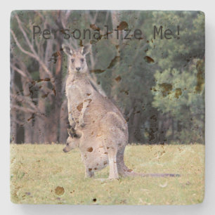Mother Kangaroo with Baby Joey in Her Pouch Stone Coaster