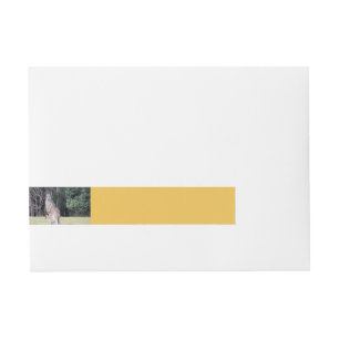 Mother Kangaroo with Baby Joey in Her Pouch Wraparound Address Label
