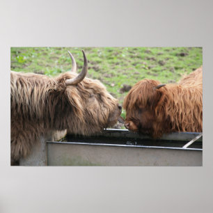 Mother Love Poster Print