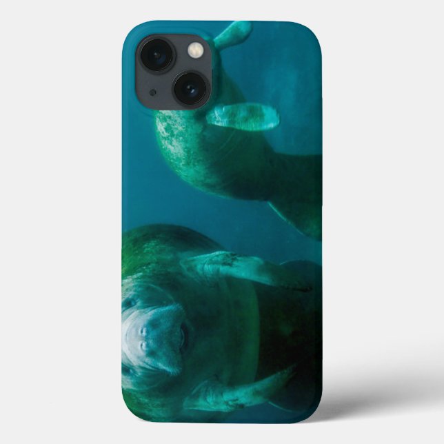 Mother manatee with her calf in Crystal River Case-Mate iPhone Case (Back)