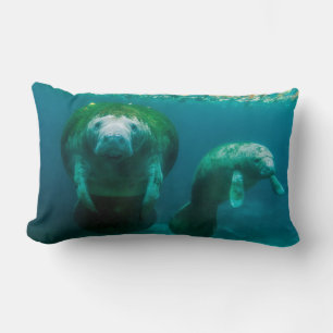 Mother manatee with her calf in Crystal River Lumbar Cushion