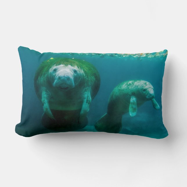 Mother manatee with her calf in Crystal River Lumbar Cushion (Front)