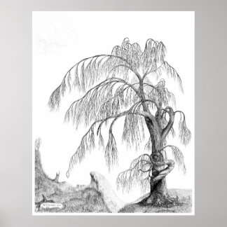 "Mother Nature," by Jeff Camden Poster