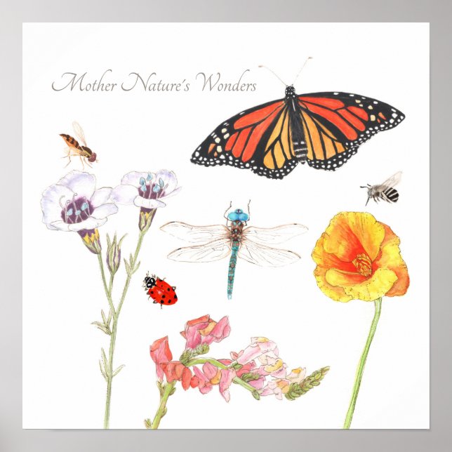 Mother Nature's Wonders Poster (Front)