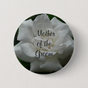Mother of the Groom, White Rose 6 Cm Round Badge