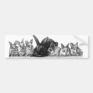 Mother rabbit and babies bumper sticker