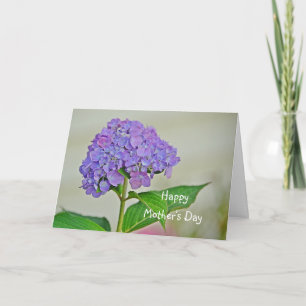 Mother’s Day Hydrangea Card