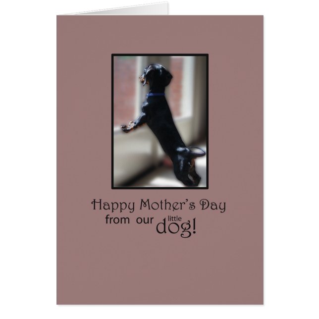 Mother’s Day Thanks From Dog Watching Out Window (Front)