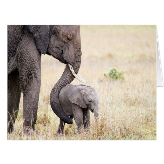 Motherly love (Front Horizontal)