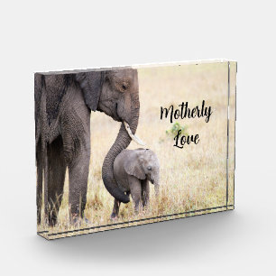 Motherly love elephant baby personalised photo block